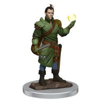 Dungeons And Dragons: Male Half-Elf Bard Premium Figure