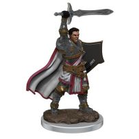 Dungeons And Dragons: Male Human Paladin Premium Figure