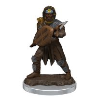 Dungeons And Dragons: Male Human Fighter Premium Figure
