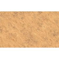 WZK96198 Dungeons And Dragons: Desert Battle Mat published by WizKids Games